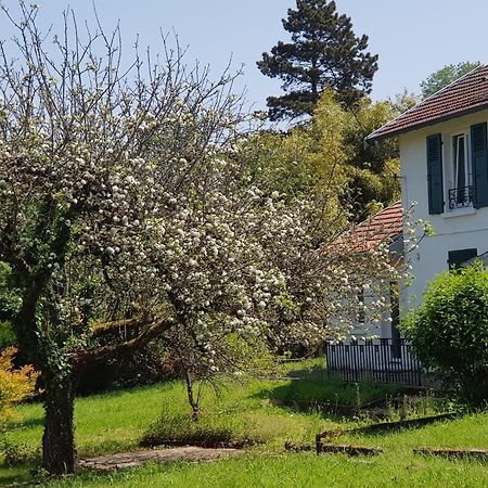 La Petite Sommiere Apartment Besancon Exterior photo