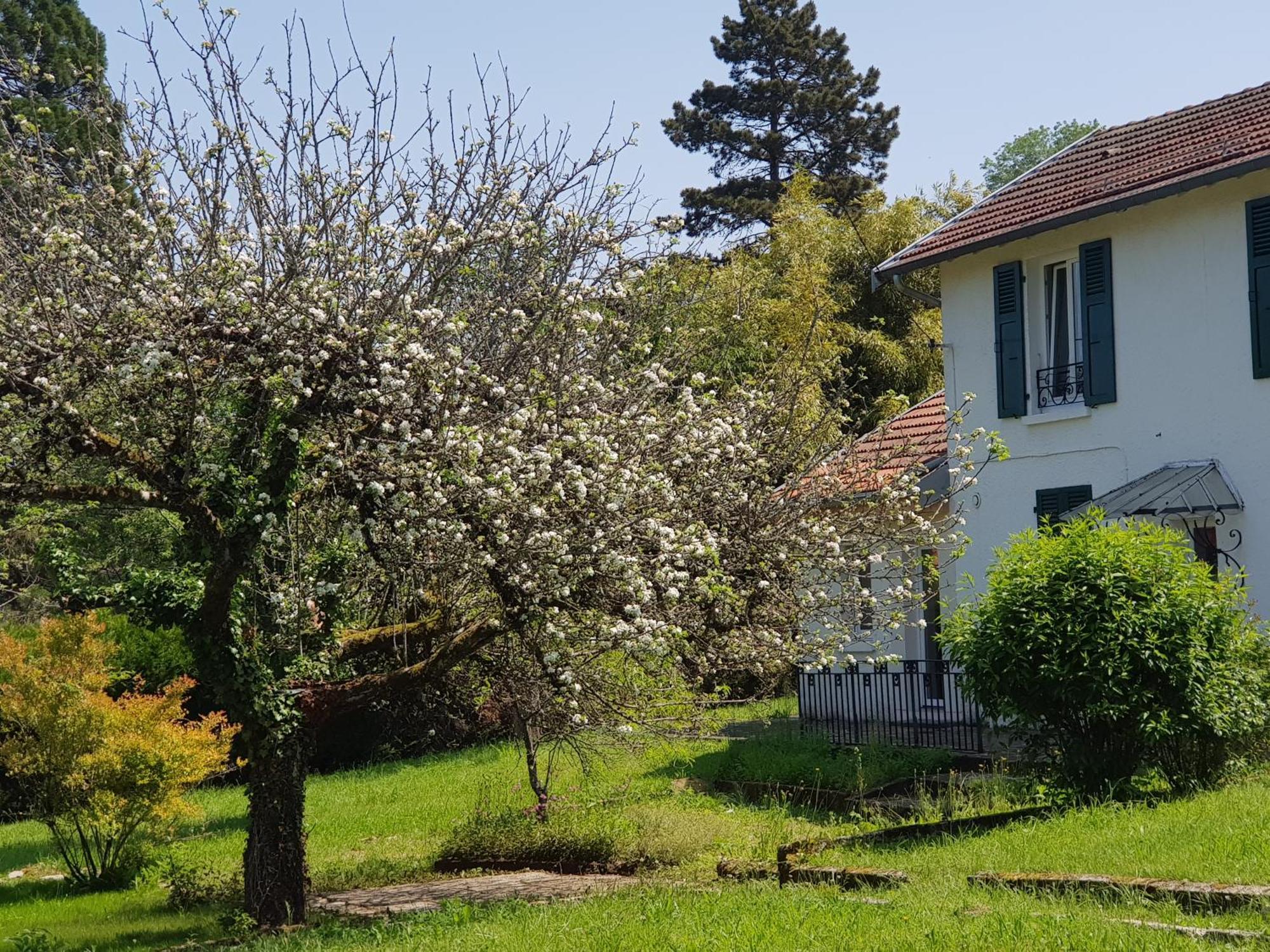 La Petite Sommiere Apartment Besancon Exterior photo